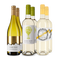 Sauvignon Blanc im Entdeckerpaket – Gold