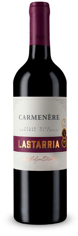 Luis Felipe Edwards Lastarria Carmenère 2020