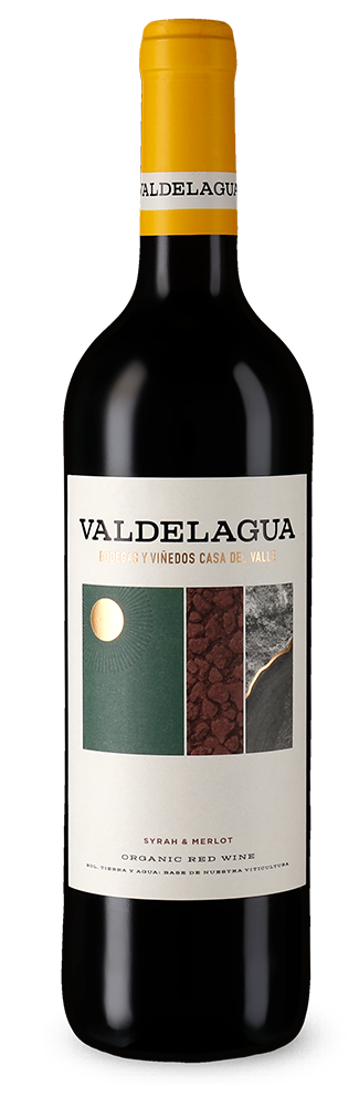 Casa del Valle Valdelagua Syrah & Merlot Bio 2023