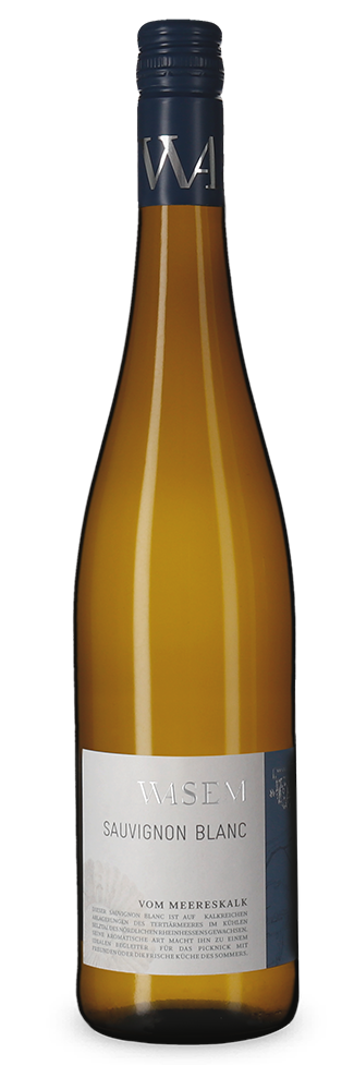 Wasem Sauvignon Blanc vom Meereskalk trocken 2023 – Gold