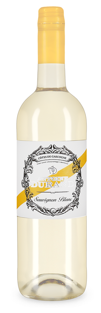 Antoine Durand Sauvignon Blanc 2023 – Gold