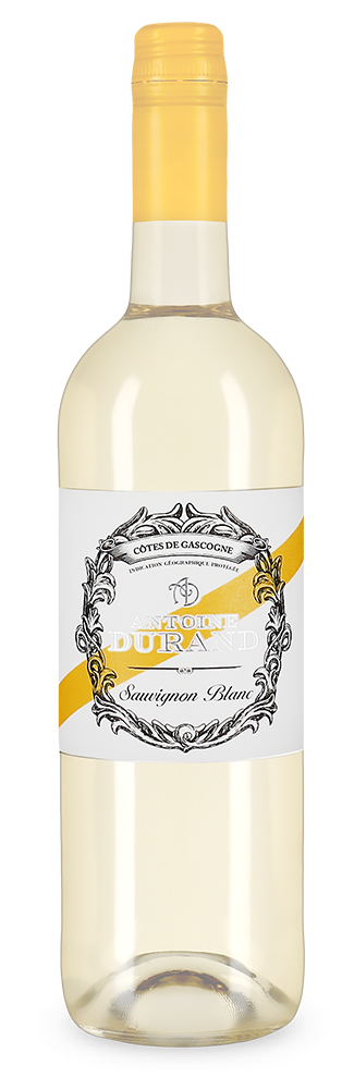 Antoine Durand Sauvignon Blanc 2023 – Gold